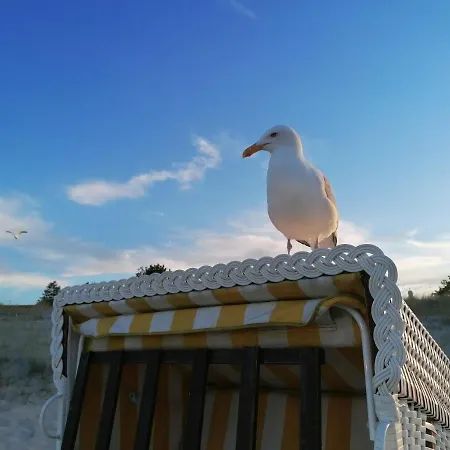 Haus Zum Schloonsee Апартаменты Херингсдорф